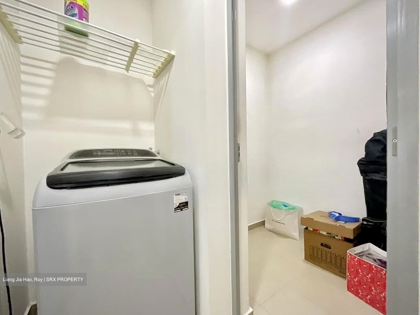 Skypark Residences (D27), Condominium #617447411